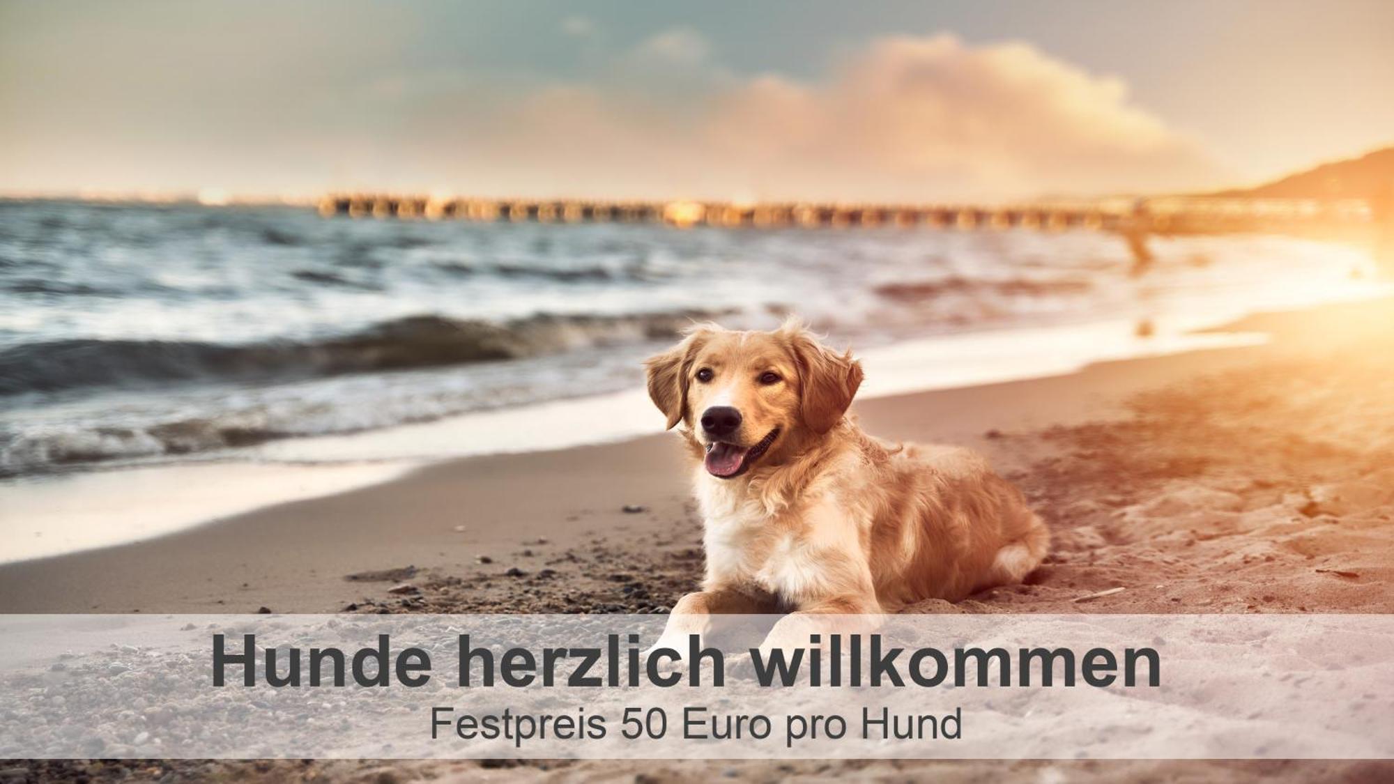 GroßheideGulfhof-Ferien Briese公寓 外观 照片